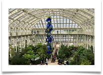 Kew Glasshouse
